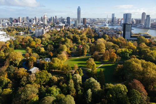 Het Park in Rotterdam — Park