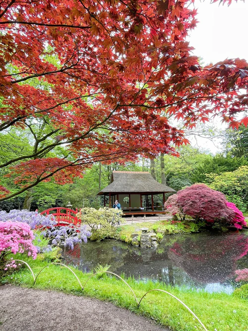 Japanese Garden — Vrt, rated 4.4/5