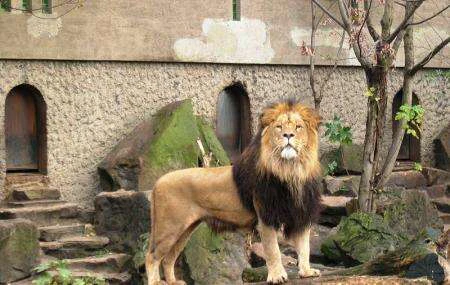 ARTIS in Utrecht — Zoo