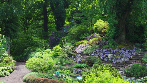 Vườn Bách thảo Utrecht in Utrecht — Vườn