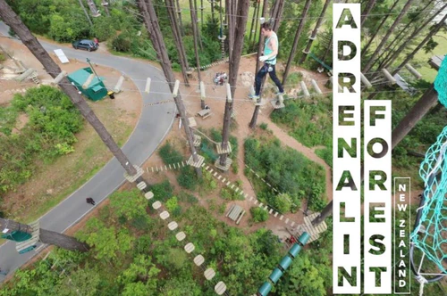 Adrenalin Forest ويلينغتون in ويلينغتون