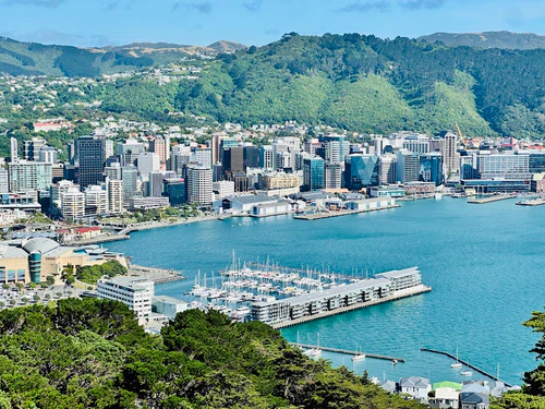 Mount Victoria Lookout in Wellington — Uitzichtpunt