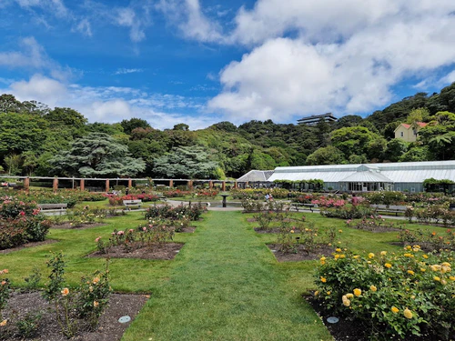 Wellington Botanic Garden in Wellington — Tuin