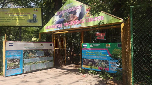 Arboretum Nacional in Managua — Park