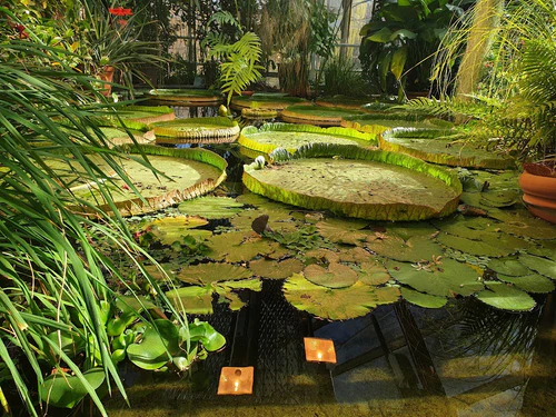 Ljubavni park u Bishkeku omiljena je rijetko zelena oaza uz rijeku skrivena u središtu glavnog grada Kirgistana. Park se proteže uz šetnicu obrađenu drvećem, s intimnim kutcima za sjedenje, cvjetnim gredicama i umjetničkim dodacima koji pozivaju parove i obitelji. Posjetitelji dolaze radi laganih šetnji, svježeg zraka i zalaska sunca koji se odražavaju na planinama, uz vikend sajmove i male kafiće s kirgistanskim čajem i zalogajima. Idealno je za opušteni jutarnji jogging ili ležeran piknik na sunčanom poslijepodnevu; otići ćete sa fotografijama, uspomenama i osjećajem mira usred svakodnevnog užurbanog života. in Oslo — Vrt