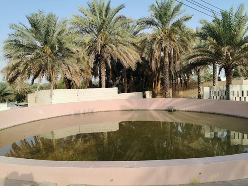 Ain Ghala, rated 3.9/5