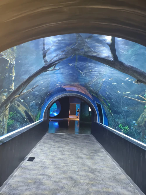 Akwarium Omanu — Aquarium, rated 4.3/5