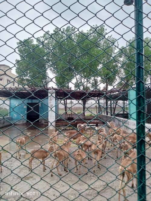 Rani Bagh Zoo — Zoo, rated 3.6/5