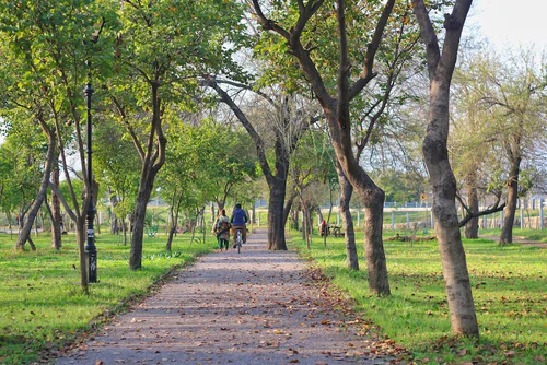 Kachnar Park in Islamabad — Park