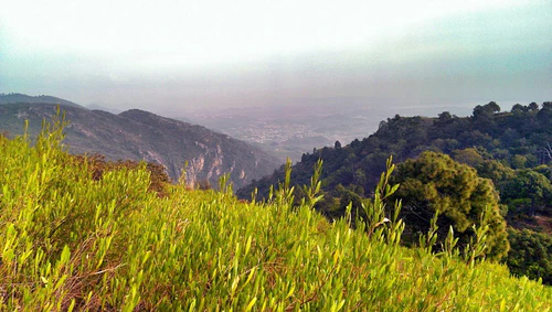 Εθνικό Πάρκο Margalla Hills — Εθνικό πάρκο, rated 4.6/5