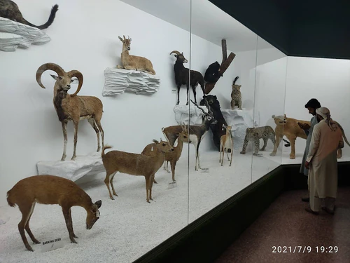 Pakistan Museum of Natural History in Islamabad — Museum