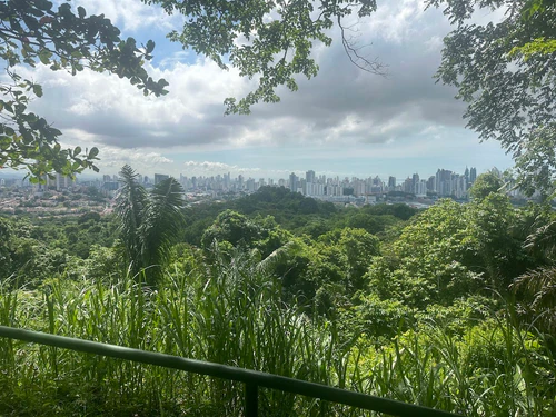 Metropolitan Natural Park in Panama-Stad — Park