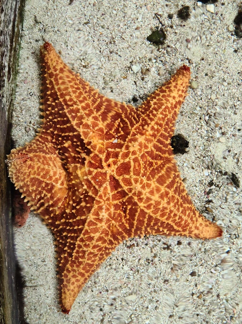 Punta Culebra Nature Center — মিউজিয়াম, rated 4.6/5