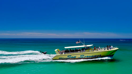 Sea Screamer in Panama-Stad — Snack Bar