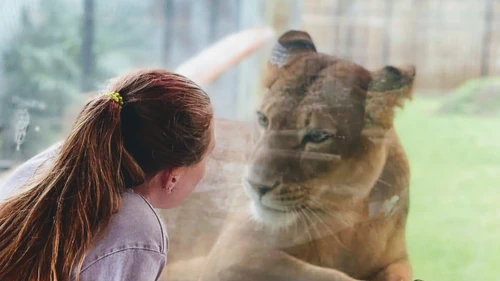 ZooWorld in Panama-Stad — Zoo