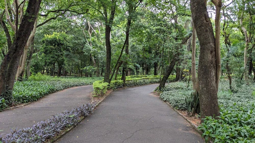 Parque de la Salud in Ασουνσιόν — Πάρκο
