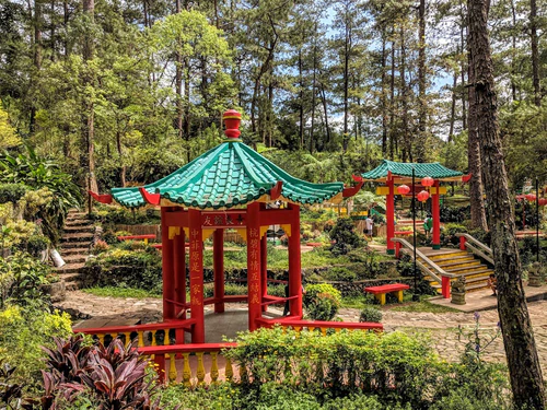 Baguio Botanical Garden in Baguio — Garden