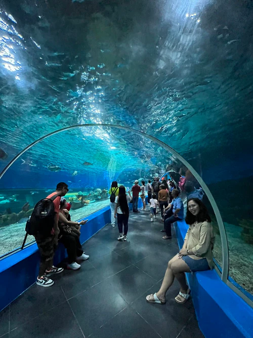 Manila Ocean Park in Маніла — Парк розваг