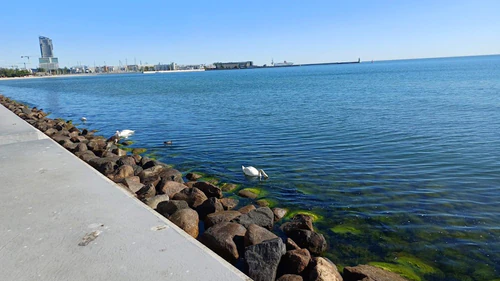 Feliks Nowowiejski Seaside Boulevard, rated 4.8/5