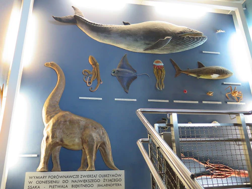 Gdynia Aquarium — Aquarium, rated 4.2/5