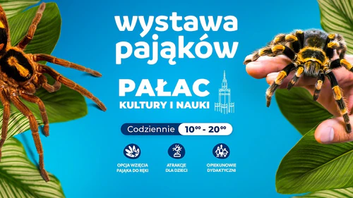Papanın Sərgisi Warszawa — Zoo, rated 4.8/5