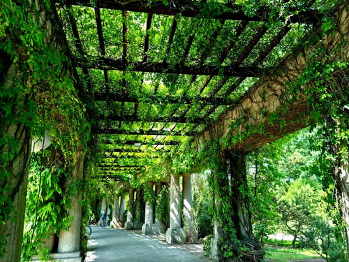 Pergola a Breslavia, rated 4.9/5