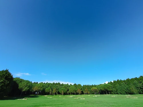 Parque da Cidade do Porto in Porto — Park