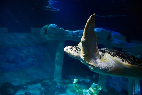 SEA LIFE Centre Porto — Aquarium, rated 4.2/5