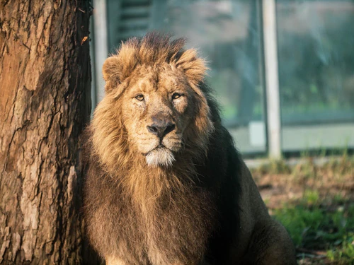 Zoo Santo Inácio — Zoo, rated 4.6/5