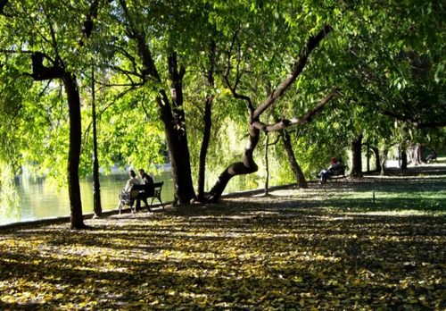 Cișmigiju park in Bukurešt — Park