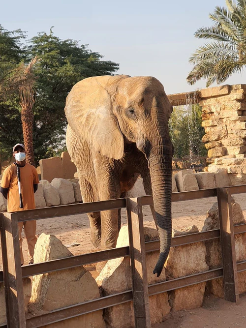 Riyadh Zoo — Zoo, rated 4.2/5