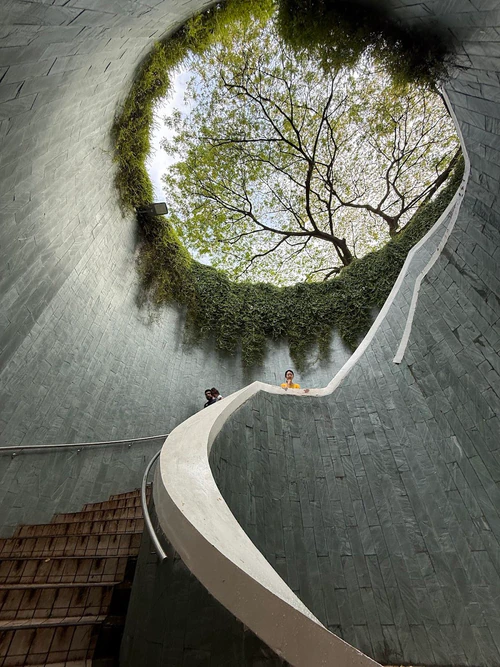 Fort Canning Tree Tunnel — Puisto, rated 4.3/5