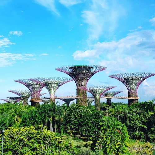 Jardins pela Baía in Singapura — Jardim