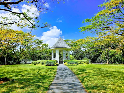 Singapore Botanic Gardens in Singapura — Jardim