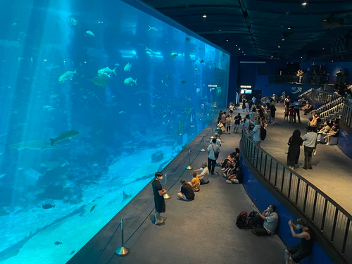 Singapore Oceanarium in Singapura — Aquarium