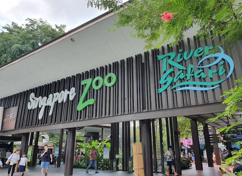 Singapore Zoo in Singapura — Zoo