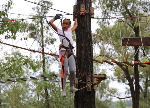Acrobranch Melrose — Adventure Sports, rated 4.5/5
