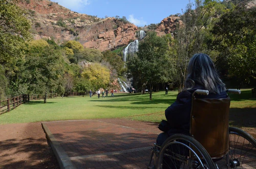 Walter Sisulu National Botanical Garden in Johannesburg — Tuin