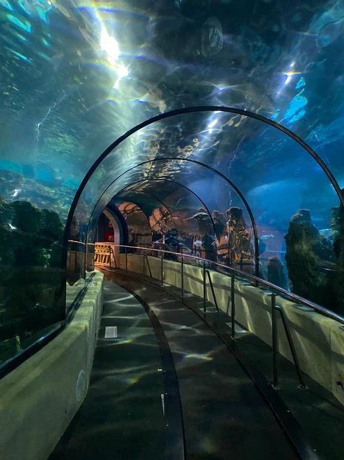 L’Aquàrium de Barcelona — Aquarium, rated 4.1/5