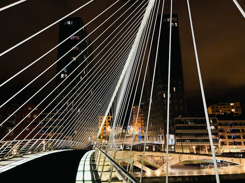 Zubizuri in Bilbao — ল্যান্ডমার্ক