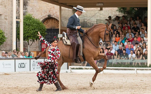 Caballerizas Reales, rated 4.4/5