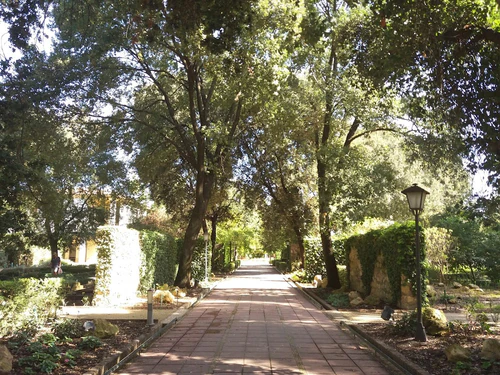 Real Jardín Botánico de Córdoba (Botanical Garden) — বাগান, rated 4.3/5