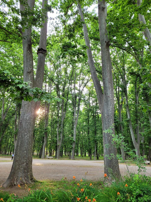 Parc de la Devesa — পার্ক, rated 4.4/5
