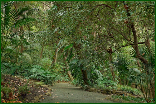 Jardín Botánico - Histórico La Concepción — বাগান, rated 4.6/5