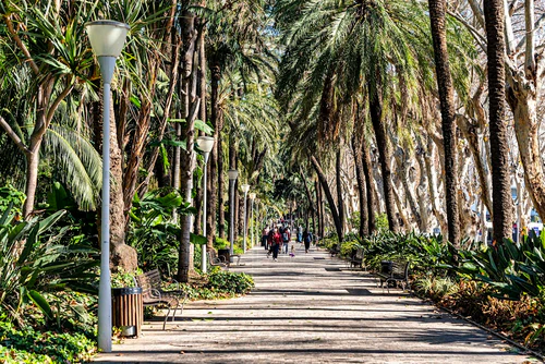 Málaga Park — পার্ক, rated 4.6/5