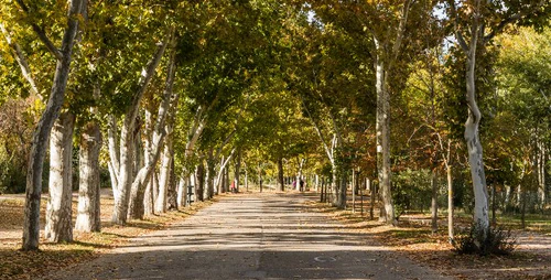 Casa de Campo — Park, rated 4.6/5