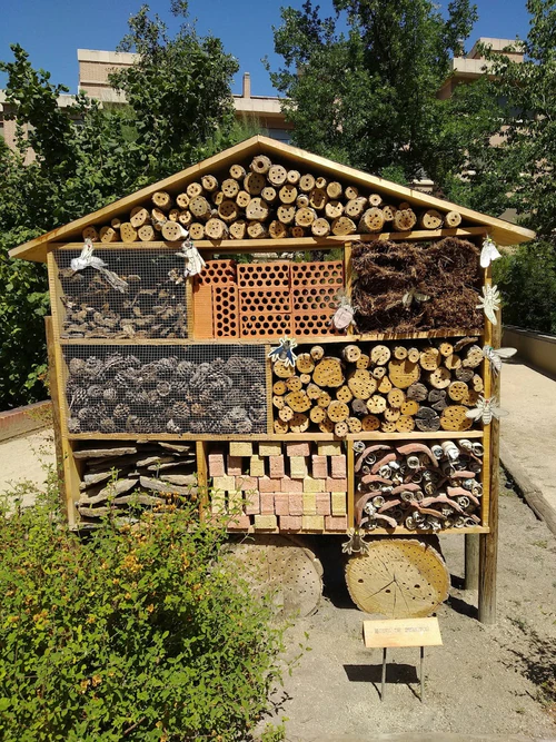 Jardín Botánico de Segovia in Segovia — বাগান