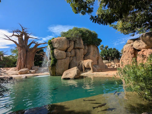 Bioparc Valencia — Zoo, rated 4.6/5