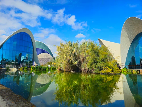 Oceanogràfic València — Aquarium, rated 4.6/5
