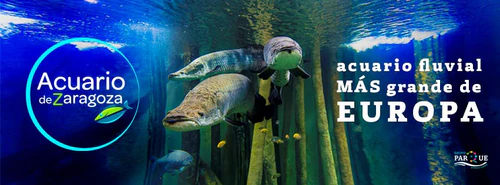 Aquarium River of Zaragoza — Aquarium, rated 4.5/5